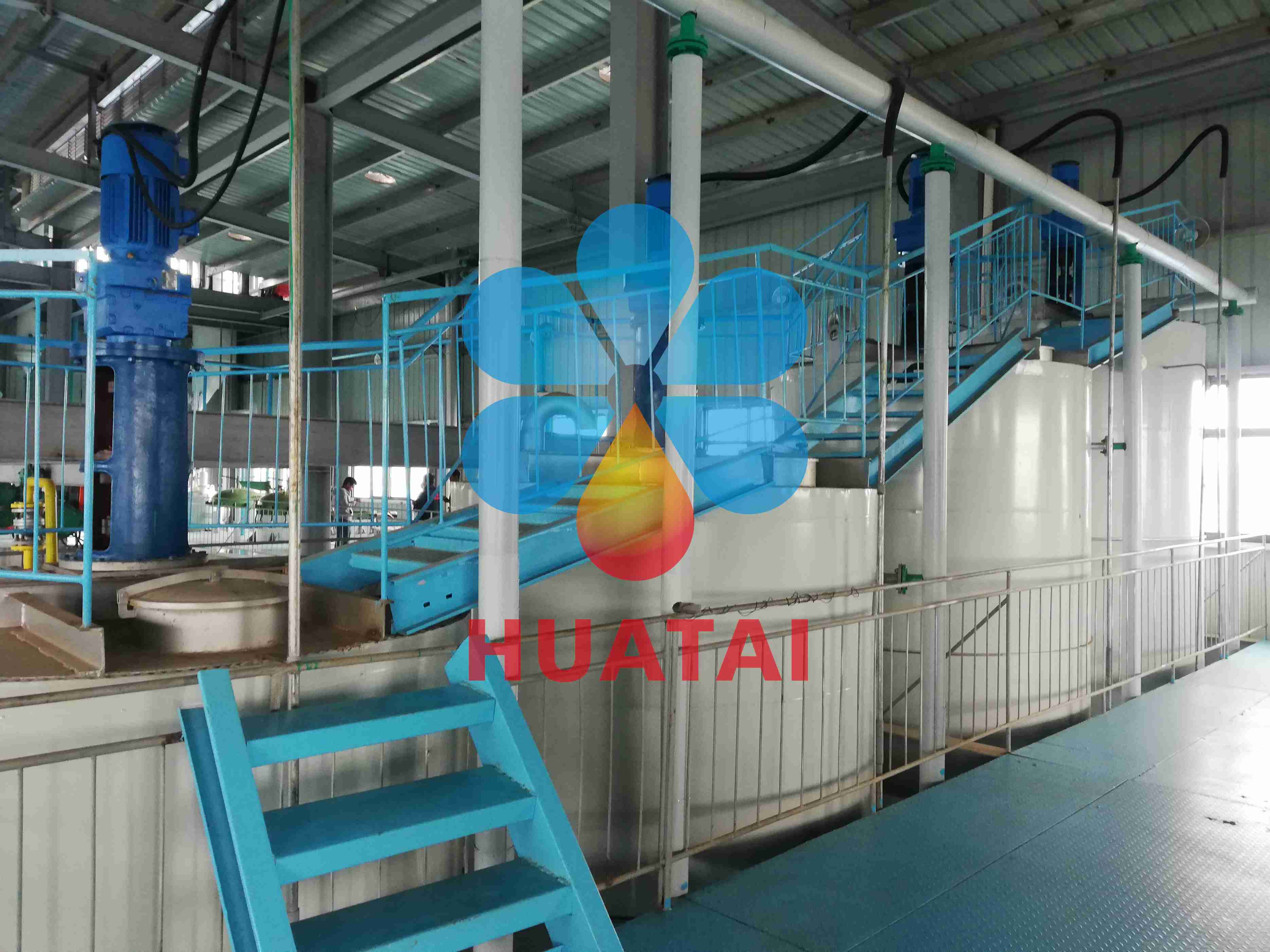 olive oil pressing machine